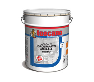 IDROSMALTO MURALE LUCIDO