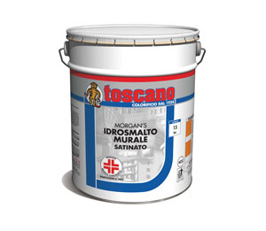 IDROSMALTO MURALE SATINATO